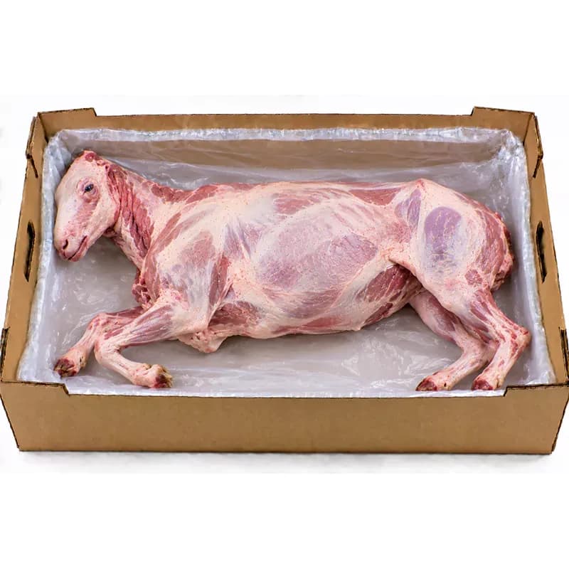 small-whole lamb.webp