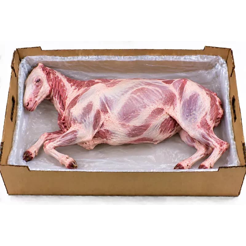 medium-whole lamb.webp