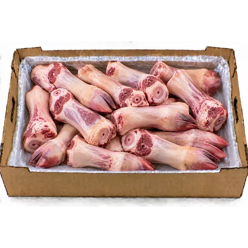 lamb-paya.webp
