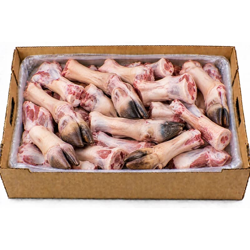 goat-paya.webp