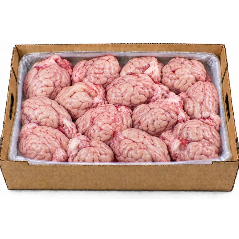 goat-brain.webp